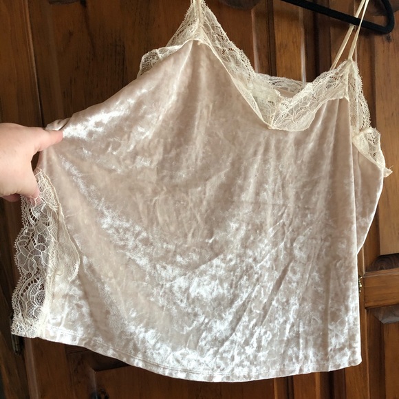 Plus Size Velvet Cami with Lace (beige/champagne) - Picture 5 of 5